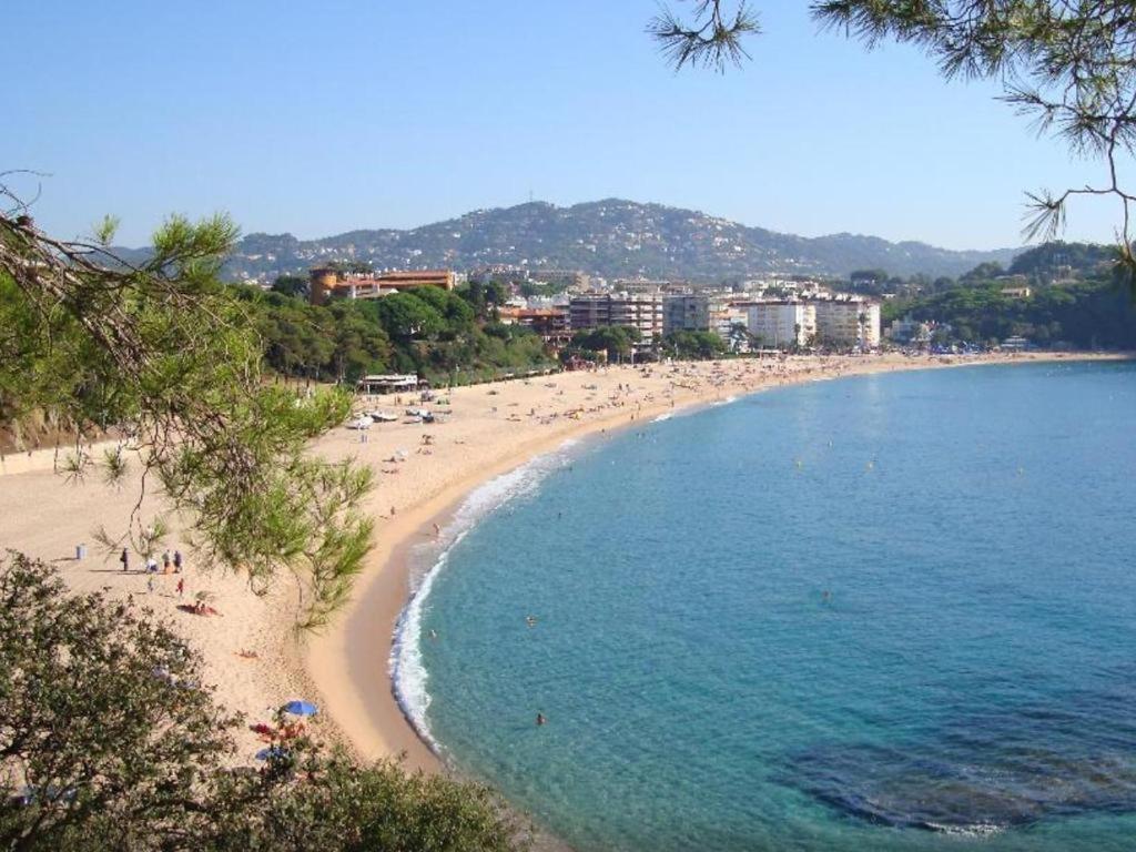 Apartament Antillas Fenals In