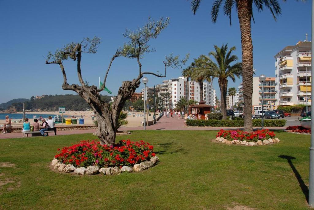 Apartament Antillas Fenals In Lloret de Mar
